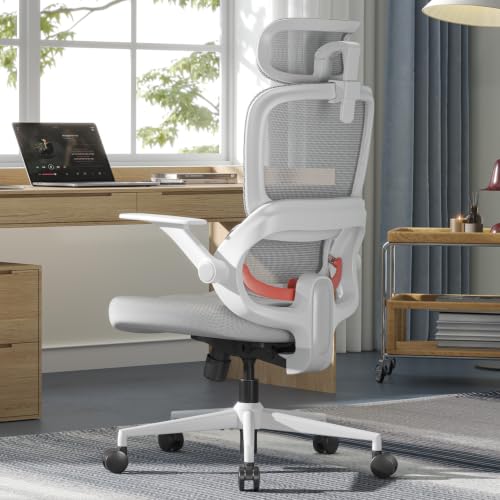 SIHOO B100 SE Ergonomic Office Chair, Desk Chair with Lumbar Support