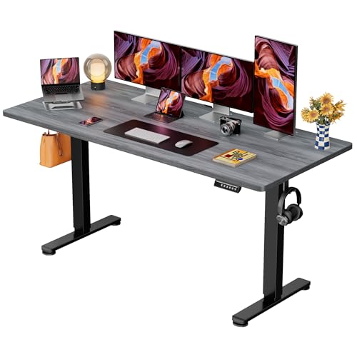 ErGear Height Adjustable Electric Standing Desk, 71 x 30 Inches Sit Stand