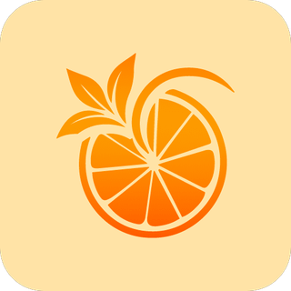 Orange Citrus Icon Pack