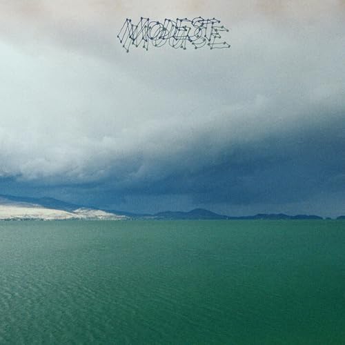 Modest Mouse - The Fruit That Ate Itself