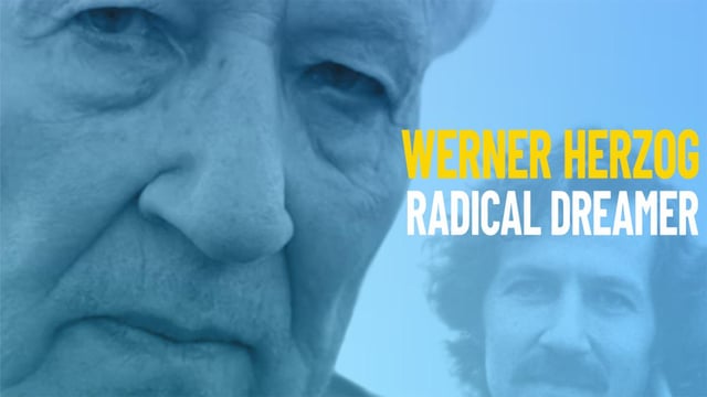 Werner herzog 21-film collection