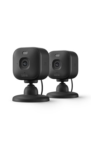 Blink Mini 2K+ (newest model)