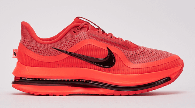 Nike Pegasus Premium ON SALE