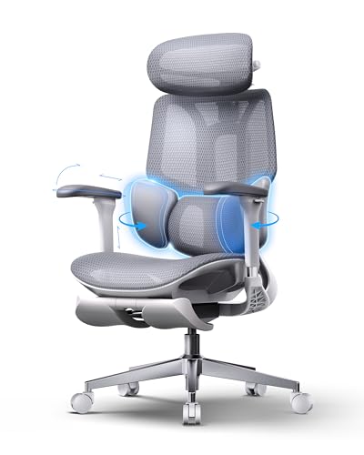 Hbada E3 Air Ergonomic Office Chair, 3-Zone Lumbar Support, Comfy Home Office