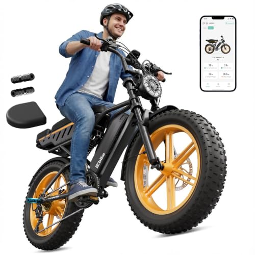 Electric Bike for Adults,48V Removable Battery Retro Ebike,28MPH Top Speed