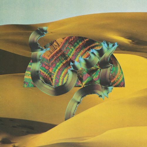 Django Django - Django Django (Vinyl LP)