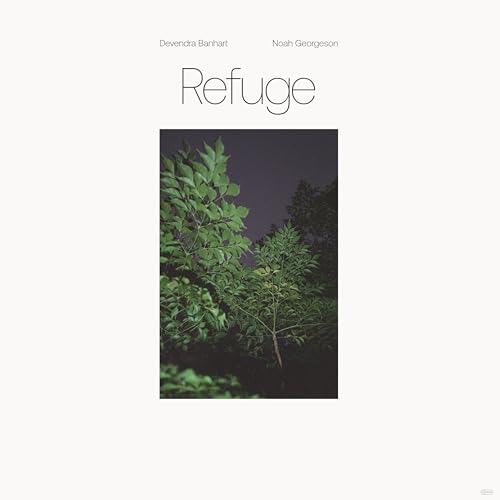 Devendra Banhart, Noah Georgeson - Refuge (Blue Seaglass Wave Translucent) @