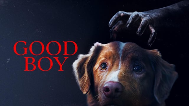 Good Boy