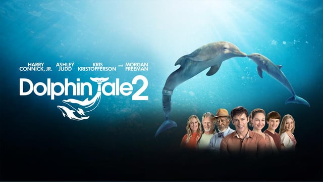 Dolphin Tale 2 (2014)