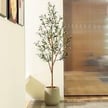 Up to 65% off: Walmart September Indoor and Outdoor Faux Plants, Flowers & Trees
