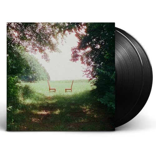 Ratboys - Singin' to an Empty Chair (Vinyl)