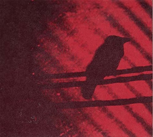 Silver Mt. Zion - Born Into Trouble As the Sparks Fly Upward