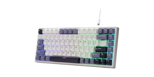 RK ROYAL KLUDGE C84 HE Rapid Trigger Gaming Keyboard, 75% TKL Wired RGB Mechanical Keyboard, Hall Effect Magnetic Switch Keyboard w/Actuation Point Adjustable, 8K Hz Polling Rate
