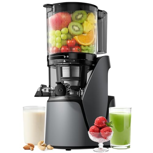 Juicer Machines, 3-in-1 Cold Press Juicer, Premium Gray