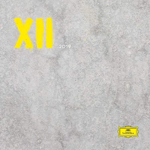 Various Artists - XII (Vinyl LP)