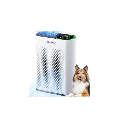 Air Purifier for Large Room, Cleans 2,400 ft² in 30 Mins, 3-Stage